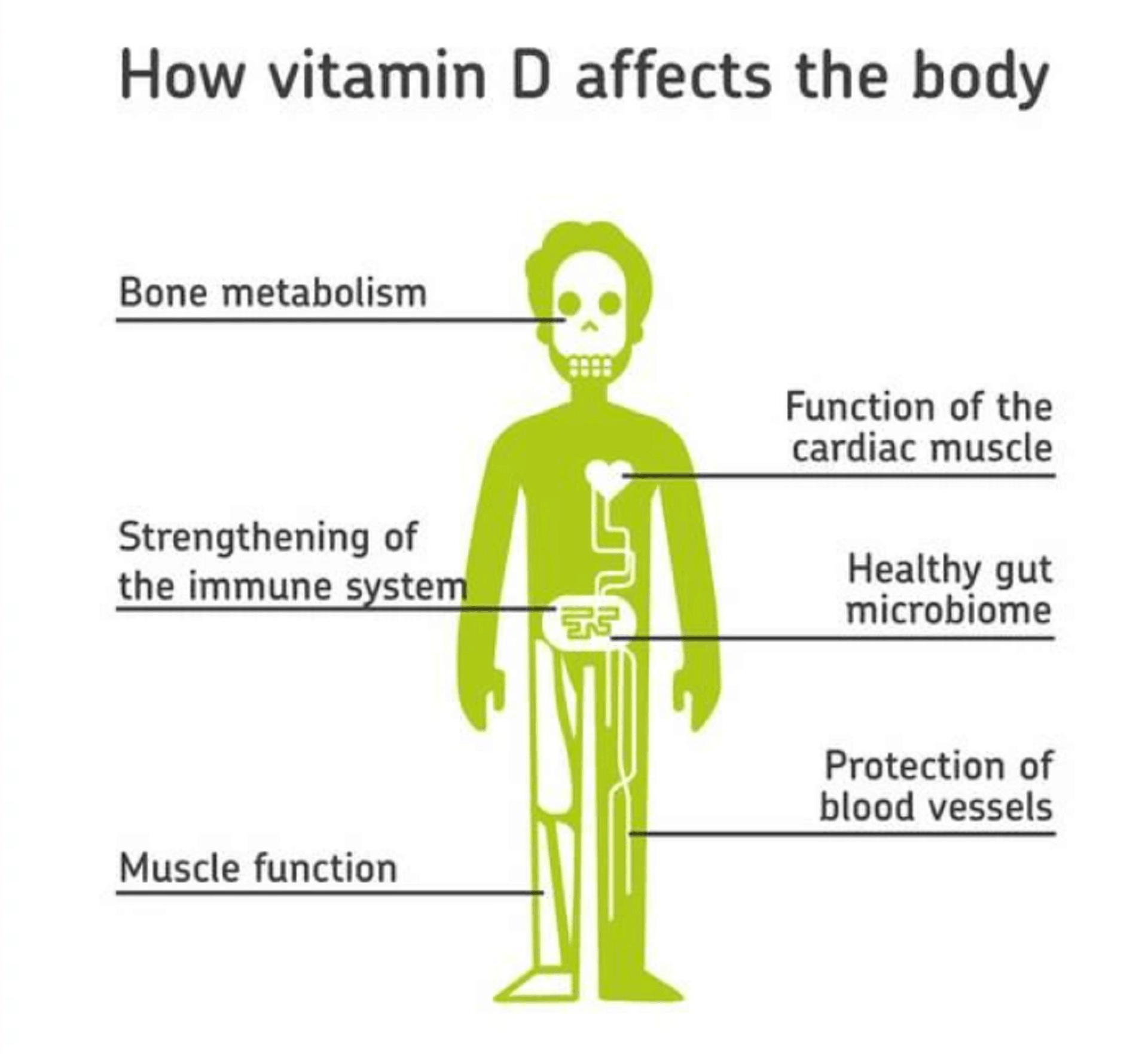 vitamin d affects body