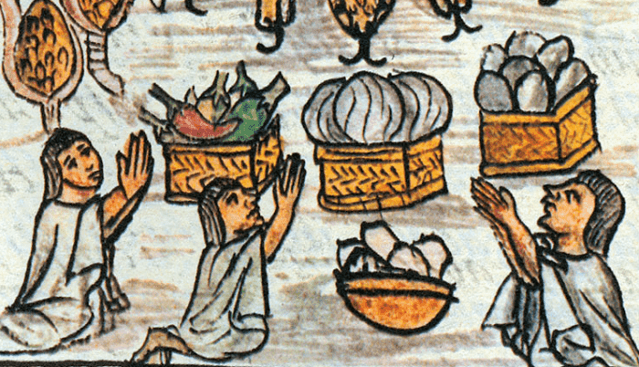 food what and how did the aztec eat