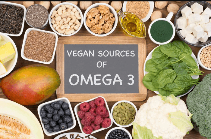 other sources of vegan omega 3