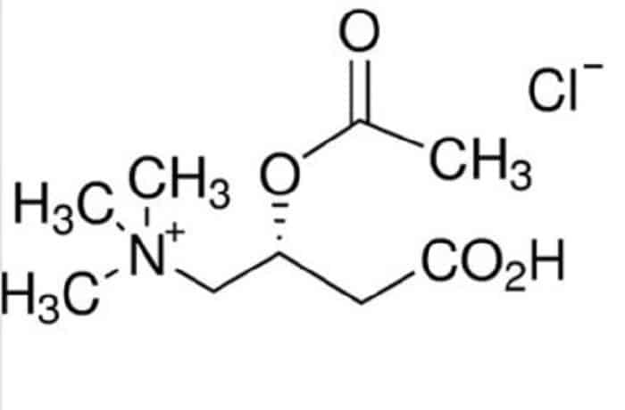  acetyl l-carnitine hcl 