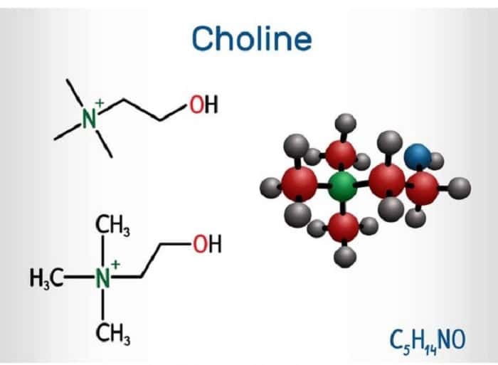 choline 1