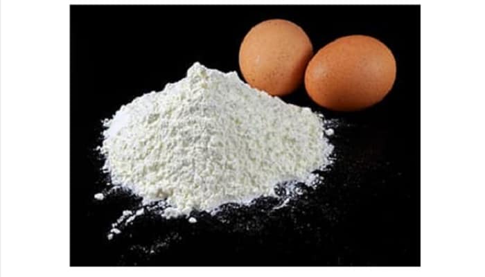 best egg white protein powder