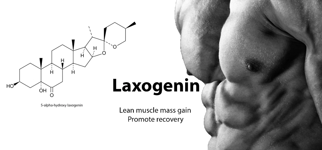 side effects of laxogenin
