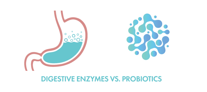 digestive-enzymes-vs-probiotics